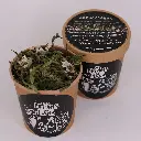 DSCF5195.webp