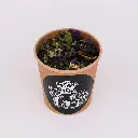 DSCF5179.webp