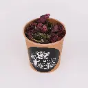 DSCF5182.webp