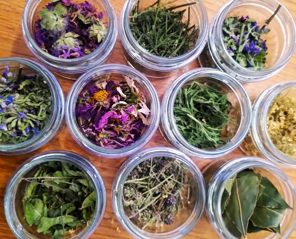Atelier création de tisane