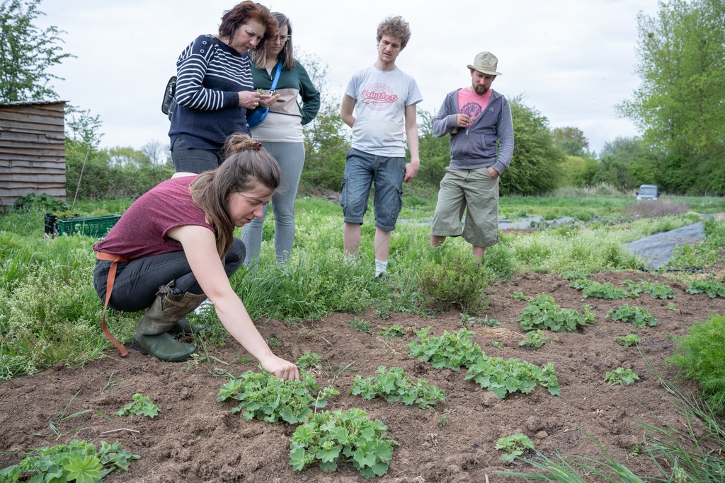 Visite des jardins - Aout 2024