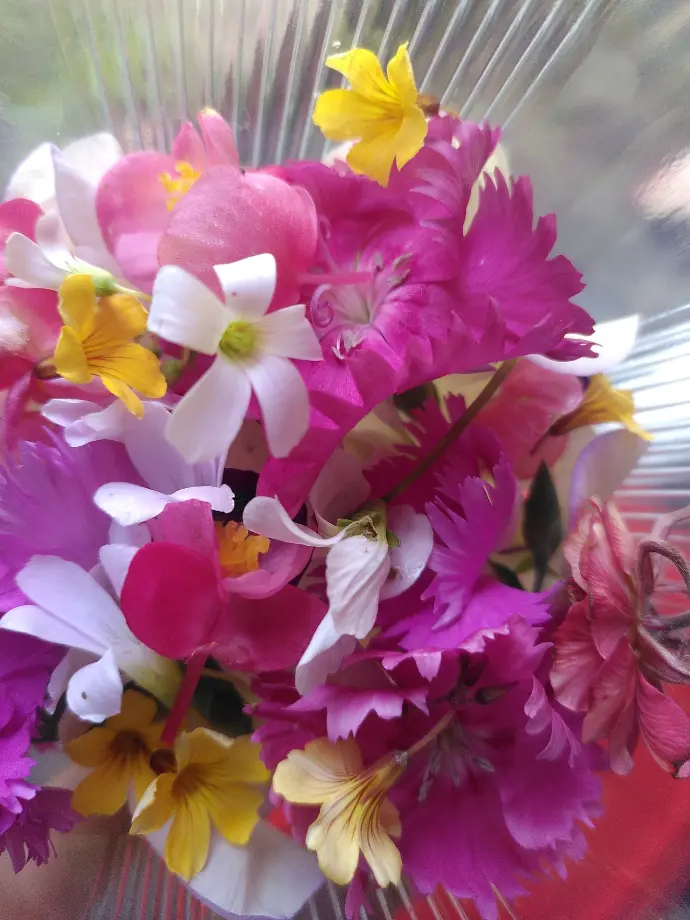 Lot de fleurs fraiches - Mix 25 pièces