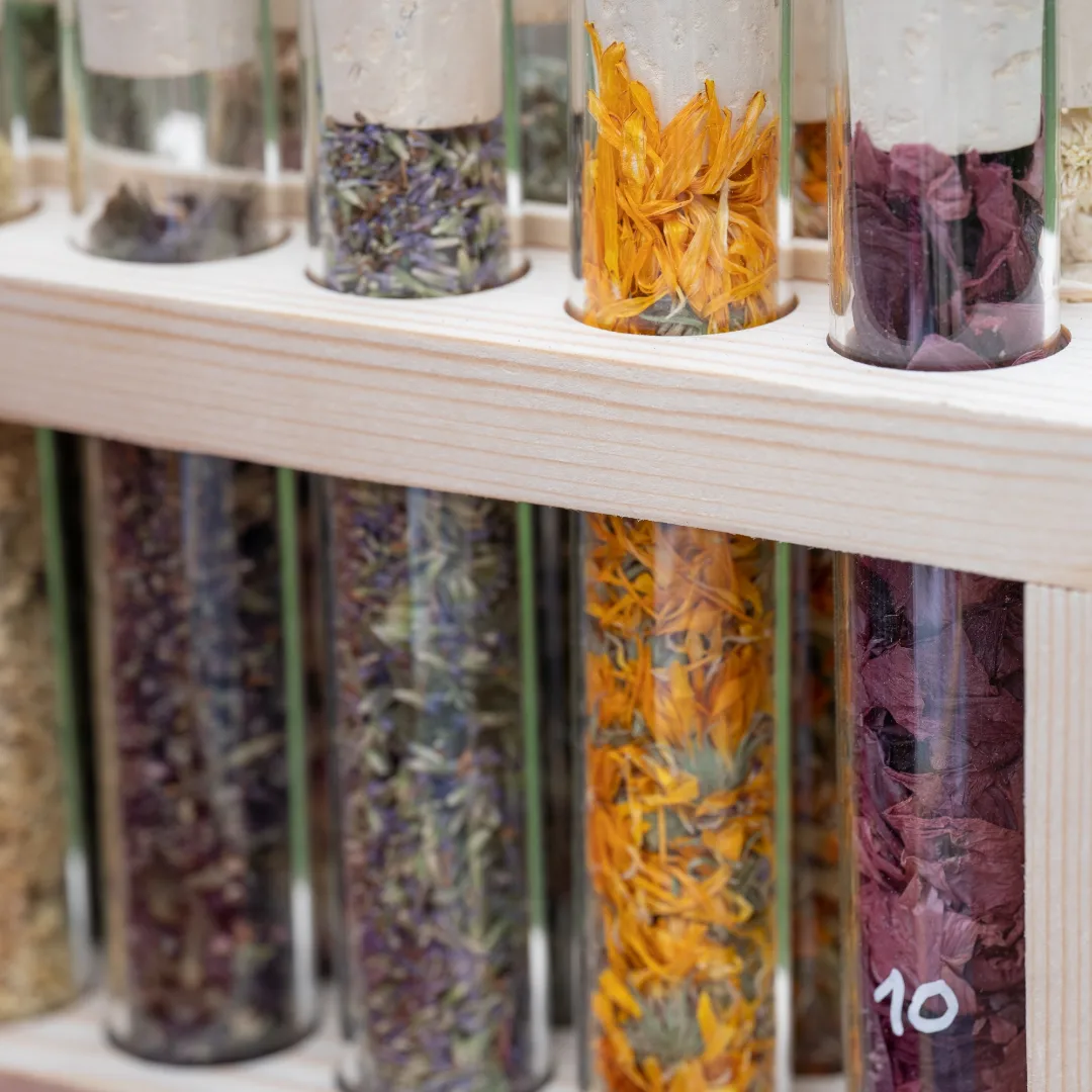 Kit création de tisane