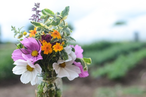 Bouquet à infuser